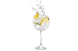 Gin